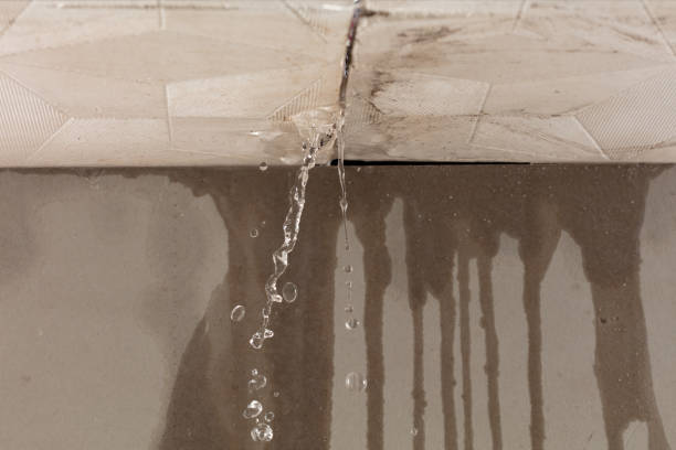 Professional Structural Drying technician working in Byron Center, MI
